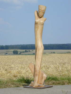 Nofrotede Kirschholz  2m